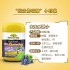 澳洲Natures Way儿童黑接骨木软糖60粒